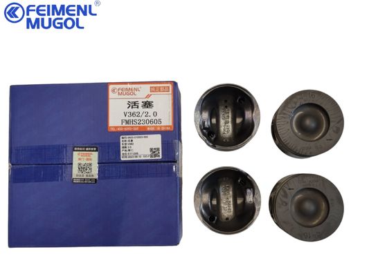Feimenl Mugol Ford Transit V348 a pistoni, Land Rover Puma2.0, 0603-010503-002