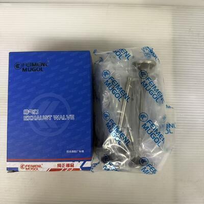 Buon prezzo Valvola di scarico ingegnerizzata di precisione 1003102RAA per motore VM425 e VM428 e Landwind X8 4D25, garantisce un flusso di scarico efficiente e un funzionamento stabile del motore. in linea