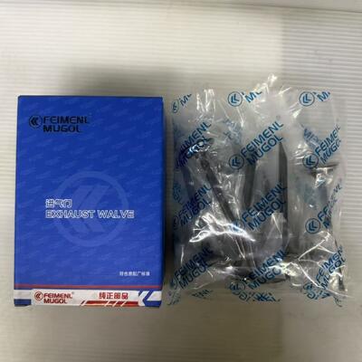 Buon prezzo Valvola di aspirazione di alta qualità 1007011-ED01 per motori Great Wall 4D20D e 4D20B, costruita per prestazioni e durata. in linea